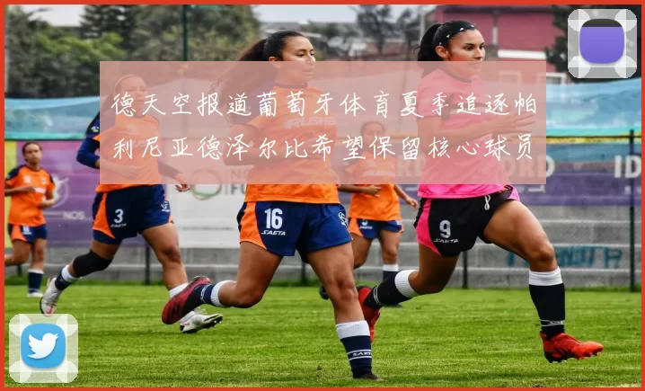 德天空报道葡萄牙体育夏季追逐帕利尼亚德泽尔比希望保留核心球员