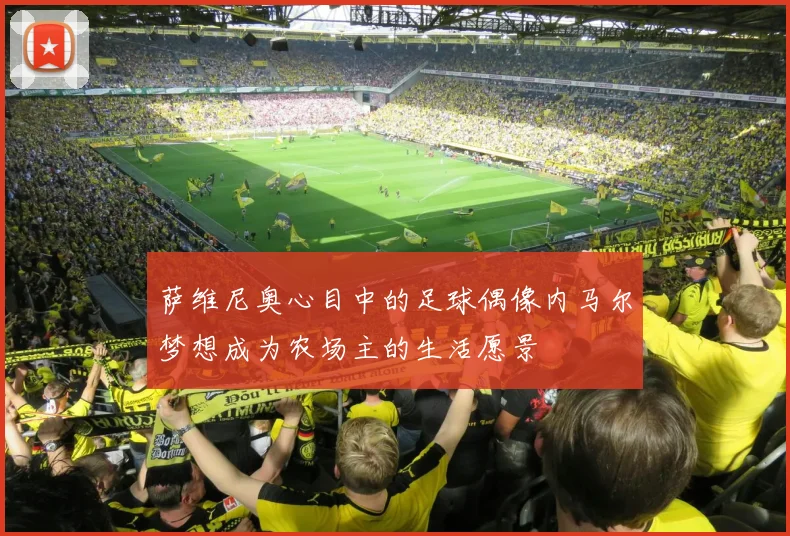 萨维尼奥心目中的足球偶像内马尔梦想成为农场主的生活愿景