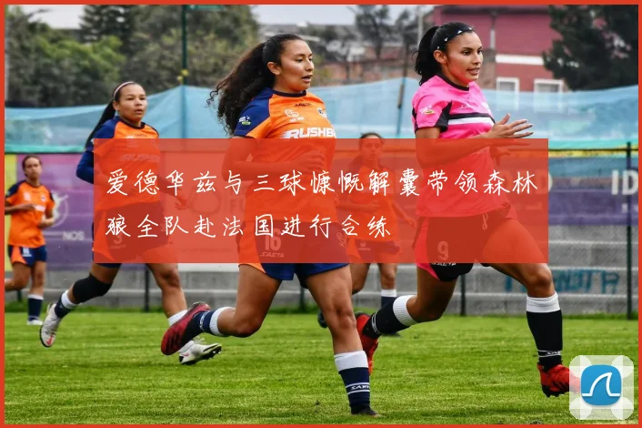爱德华兹与三球慷慨解囊带领森林狼全队赴法国进行合练